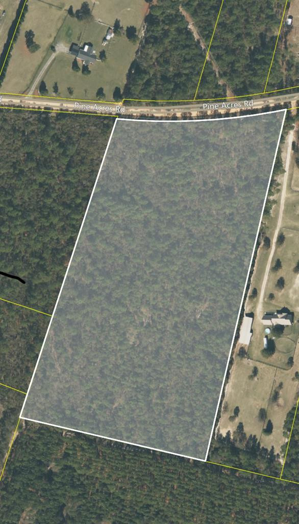 14-acres Pine Acres Road Windsor, SC 29856 - Photo 2 of 2