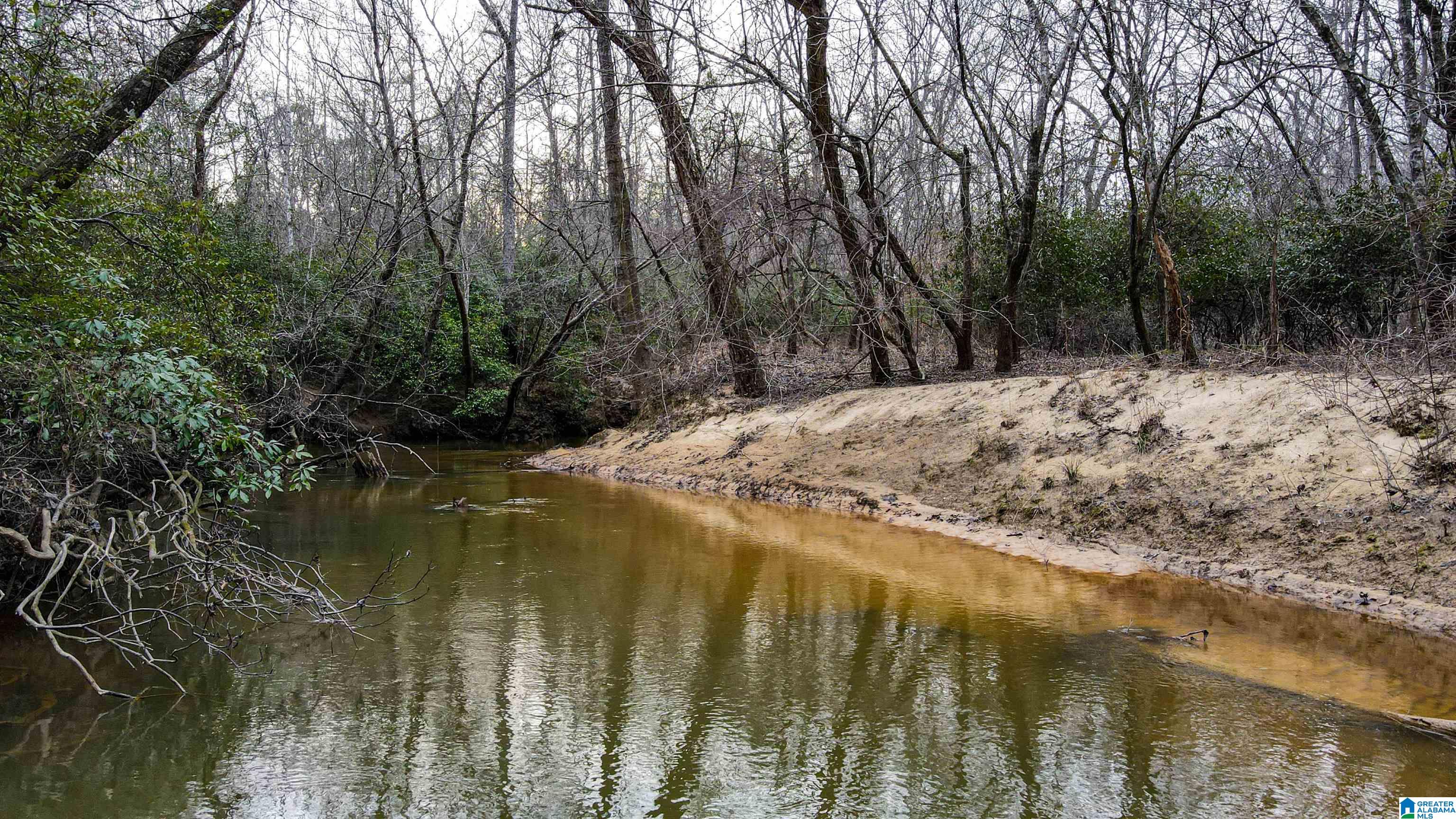 339 County Road Nauvoo, AL 35578 - Photo 23 of 57