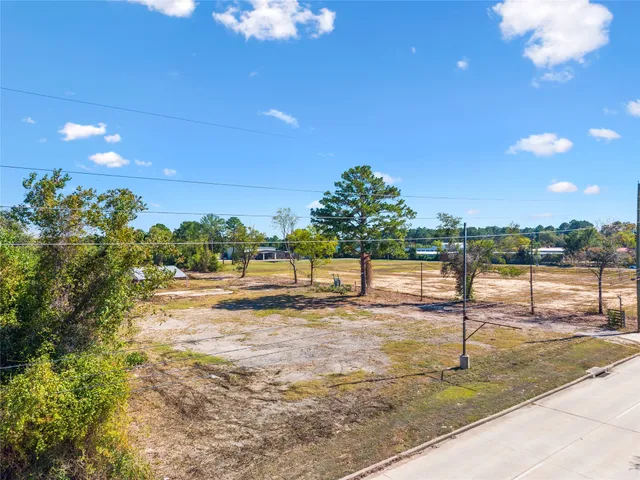 a view of a yard with plants and trees