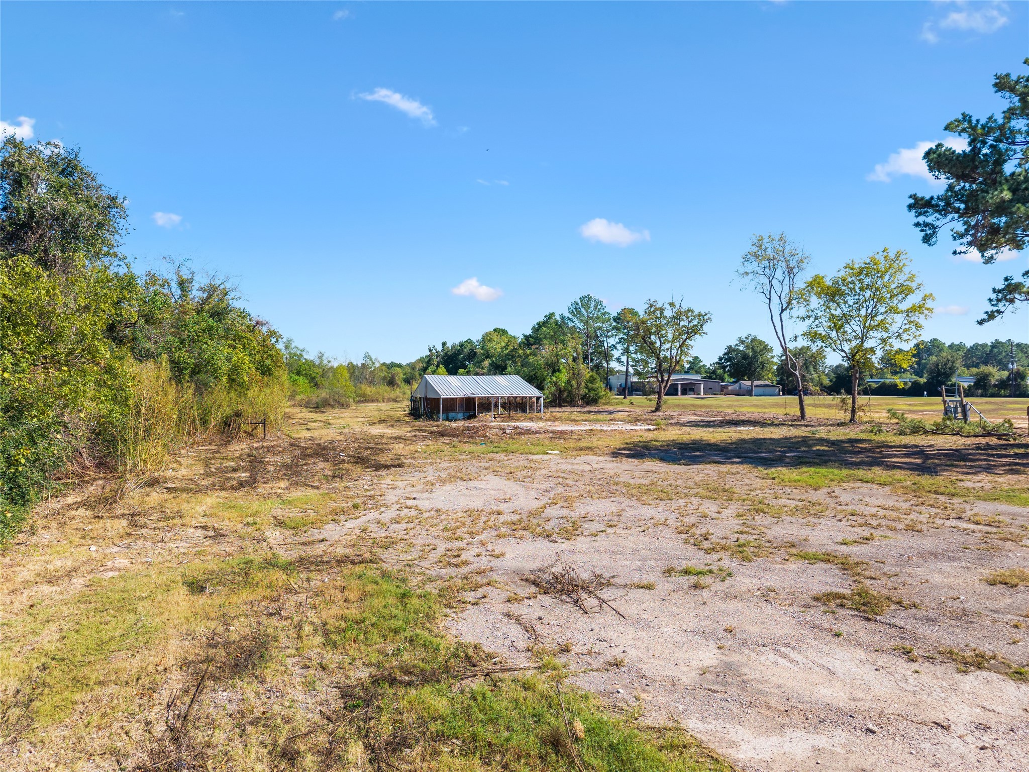 16602 Cypress Rosehill Road Cypress, TX 77429 - Photo 15 of 16 a view of a yard with plants and trees