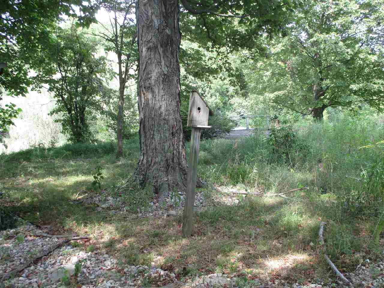 2978 Cemetery Road Scottsville, KY 42164 - Photo 11 of 35 Gallery Image 11