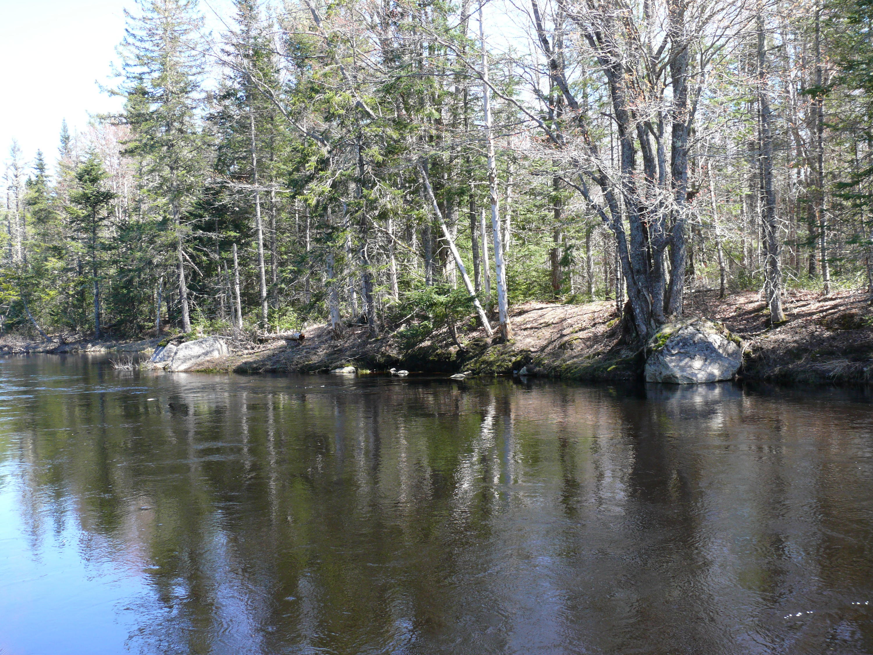 148 Meeting House Road Columbia, ME 04623 - Photo 5 of 19 P1300319