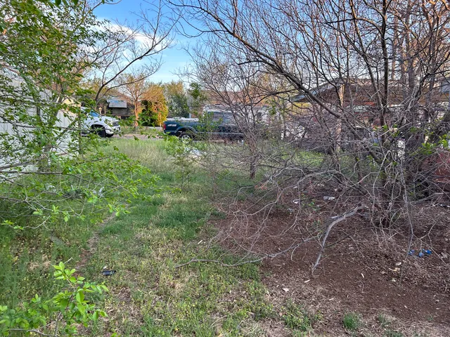a backyard of a house with lots of green space