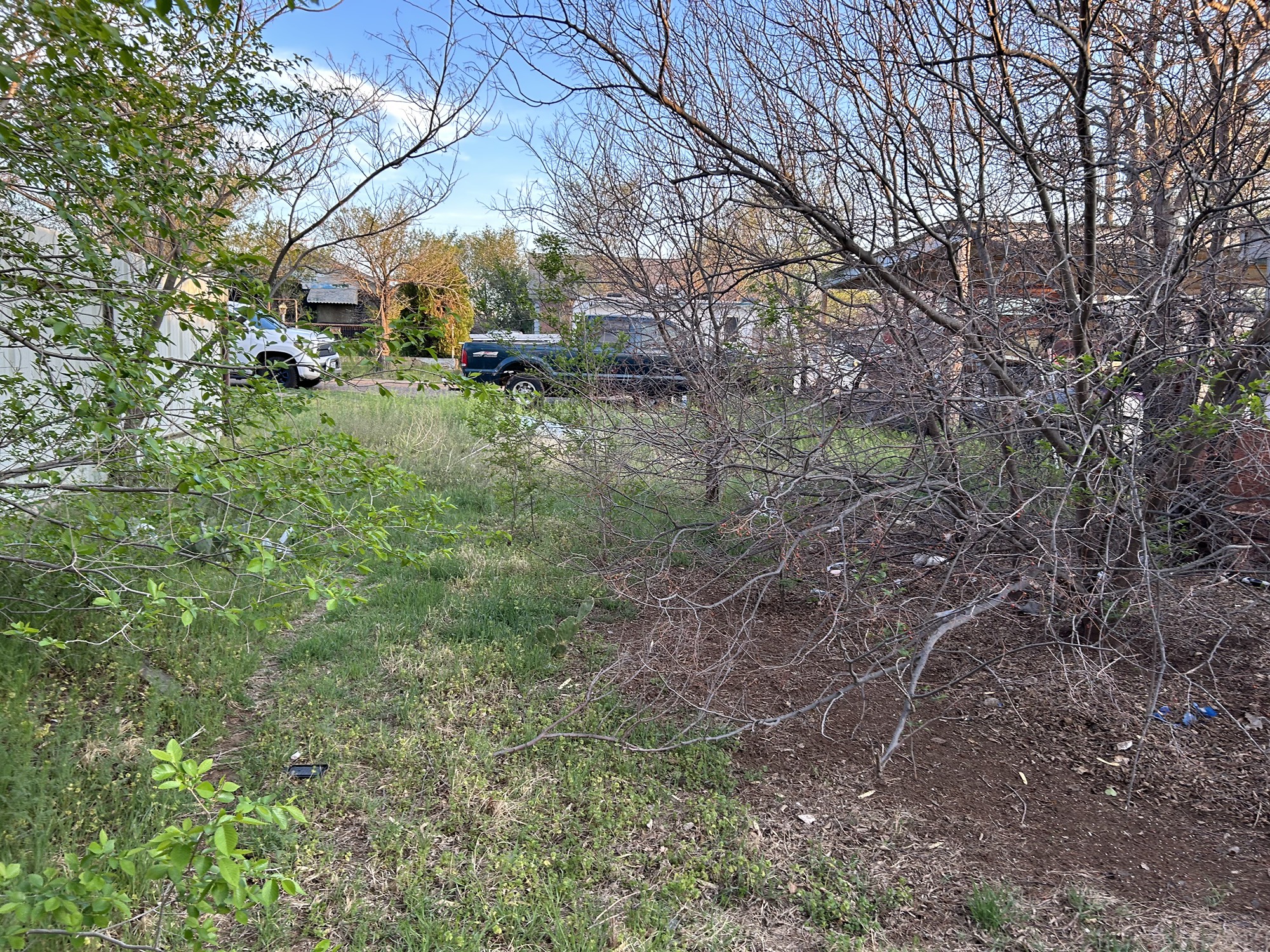 316 Madison Street Borger, TX 79007 - Photo 11 of 14 a backyard of a house with lots of green space