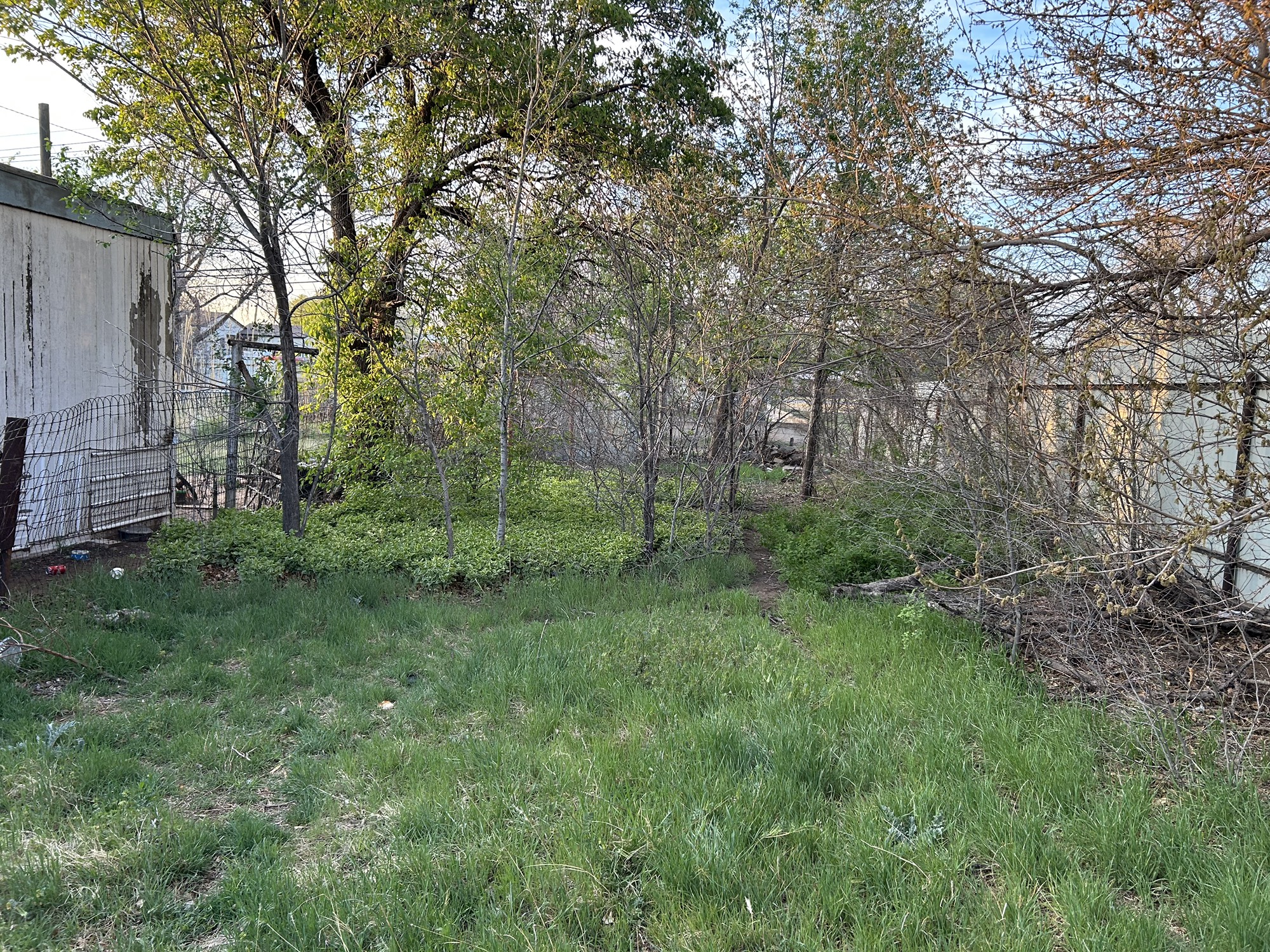 316 Madison Street Borger, TX 79007 - Photo 12 of 14 a view of a lush green space