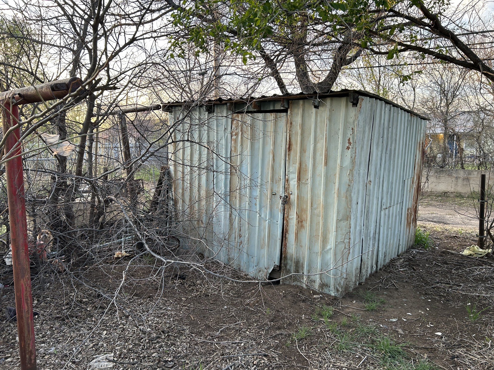 316 Madison Street Borger, TX 79007 - Photo 14 of 14 a backyard of a house with lots of green space
