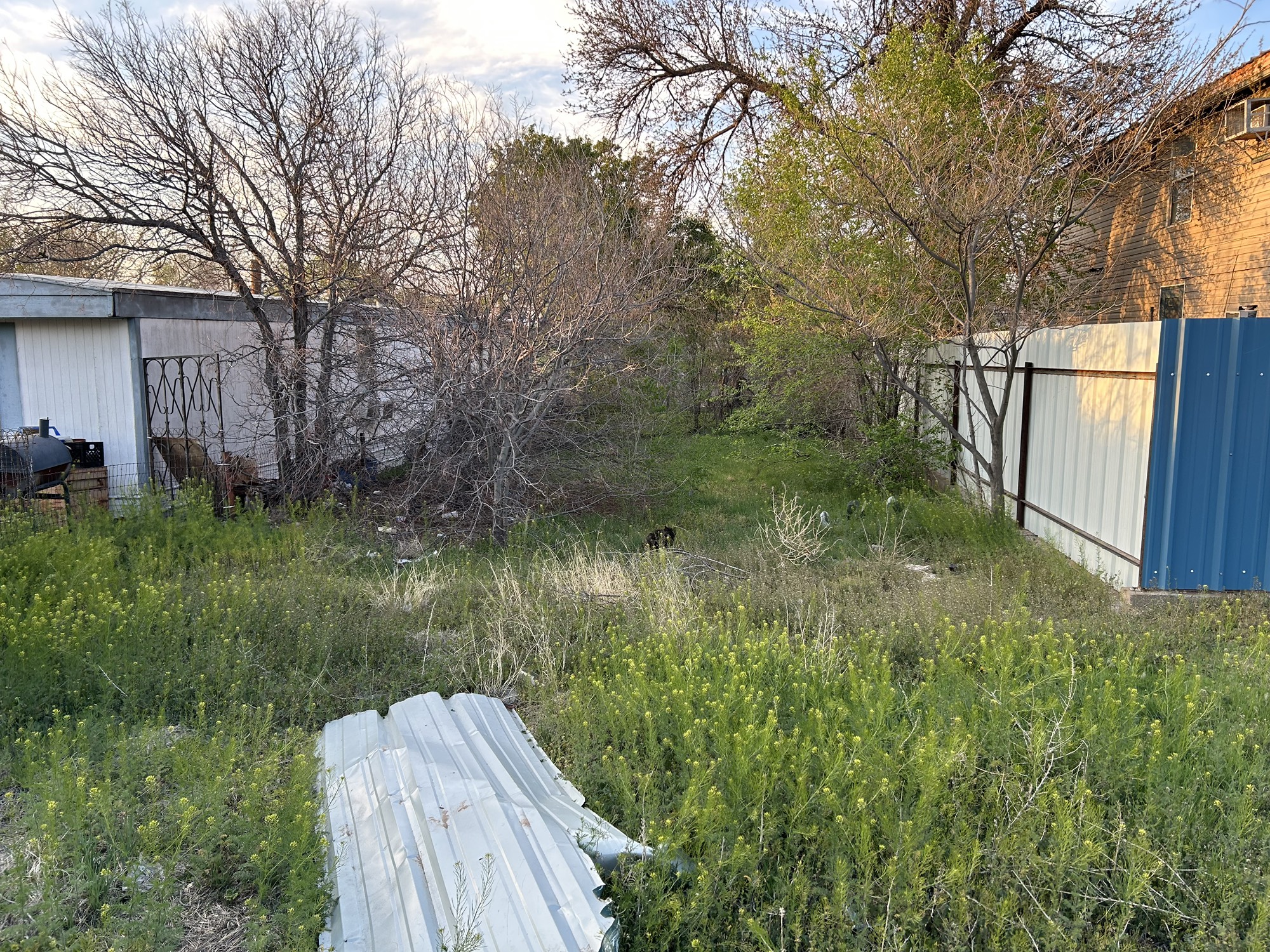 316 Madison Street Borger, TX 79007 - Photo 8 of 14 a view of a back yard