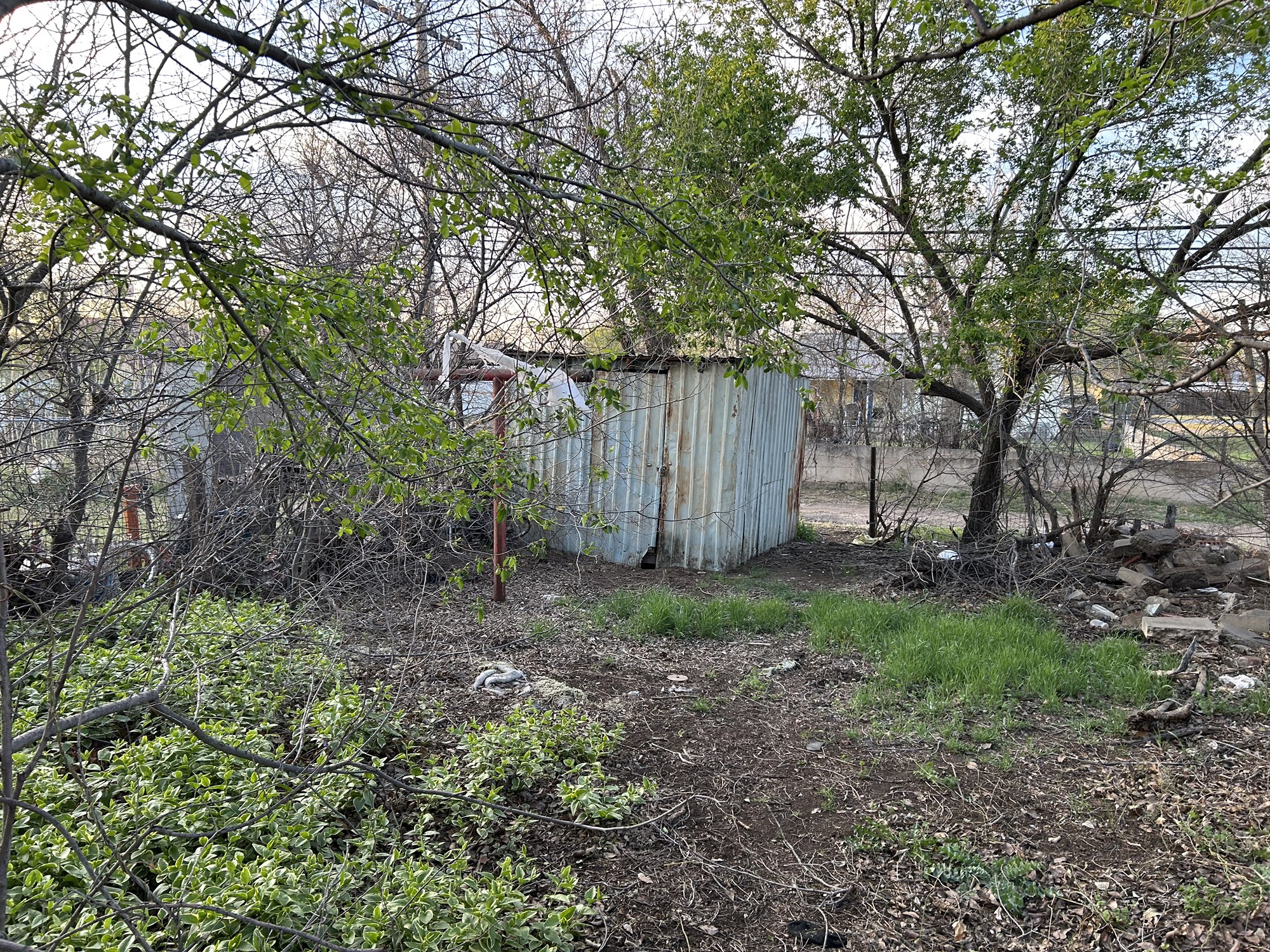 316 Madison Street Borger, TX 79007 - Photo 10 of 14 a view of a backyard with large trees and wooden fence
