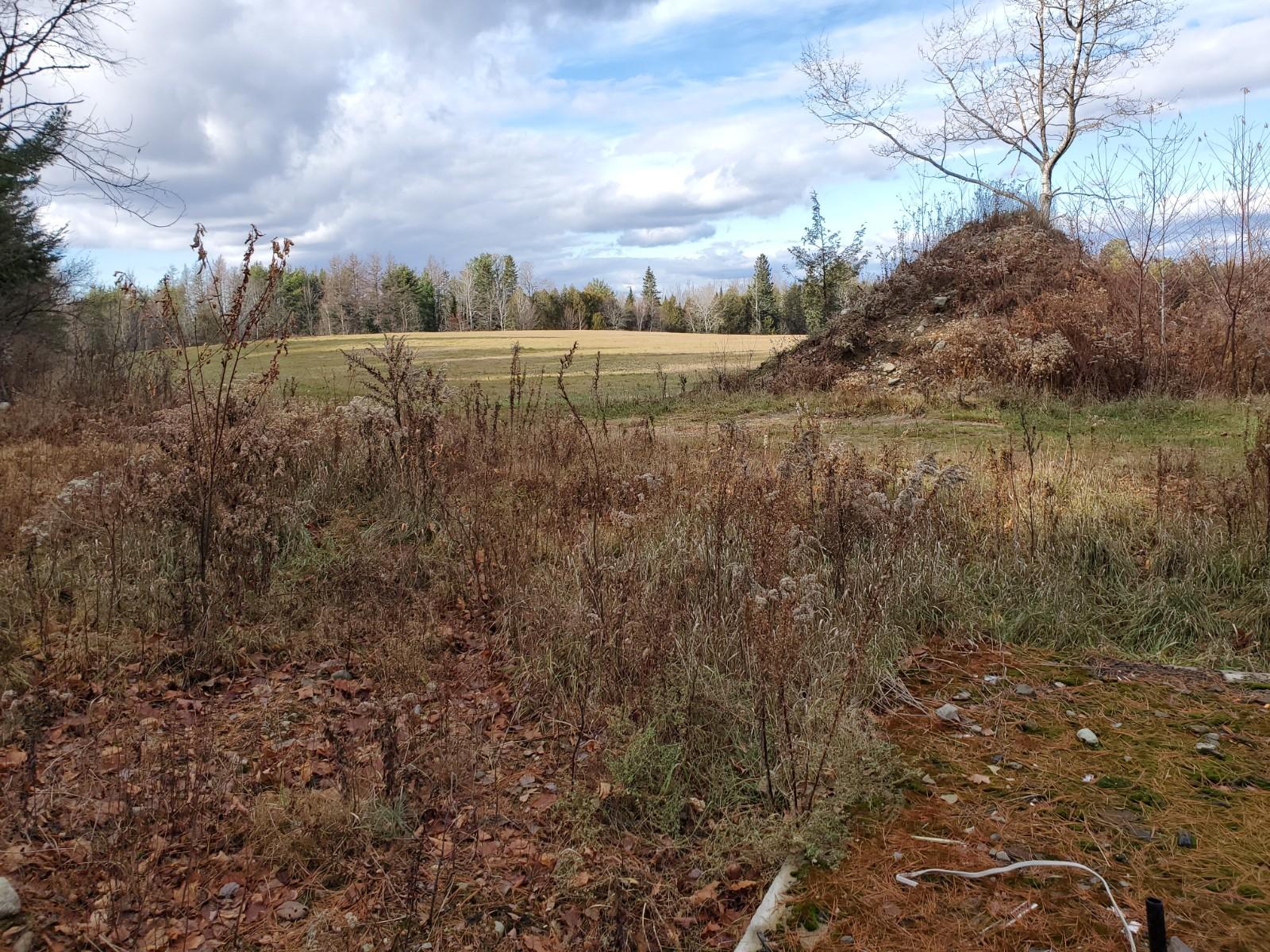 Off Bunny Lane Springfield, ME 04487 - Photo 3 of 9 20201117_104414