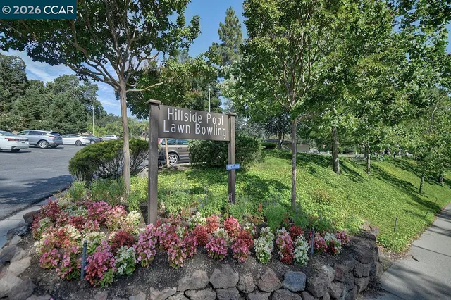 a view of a garden with flowers and trees