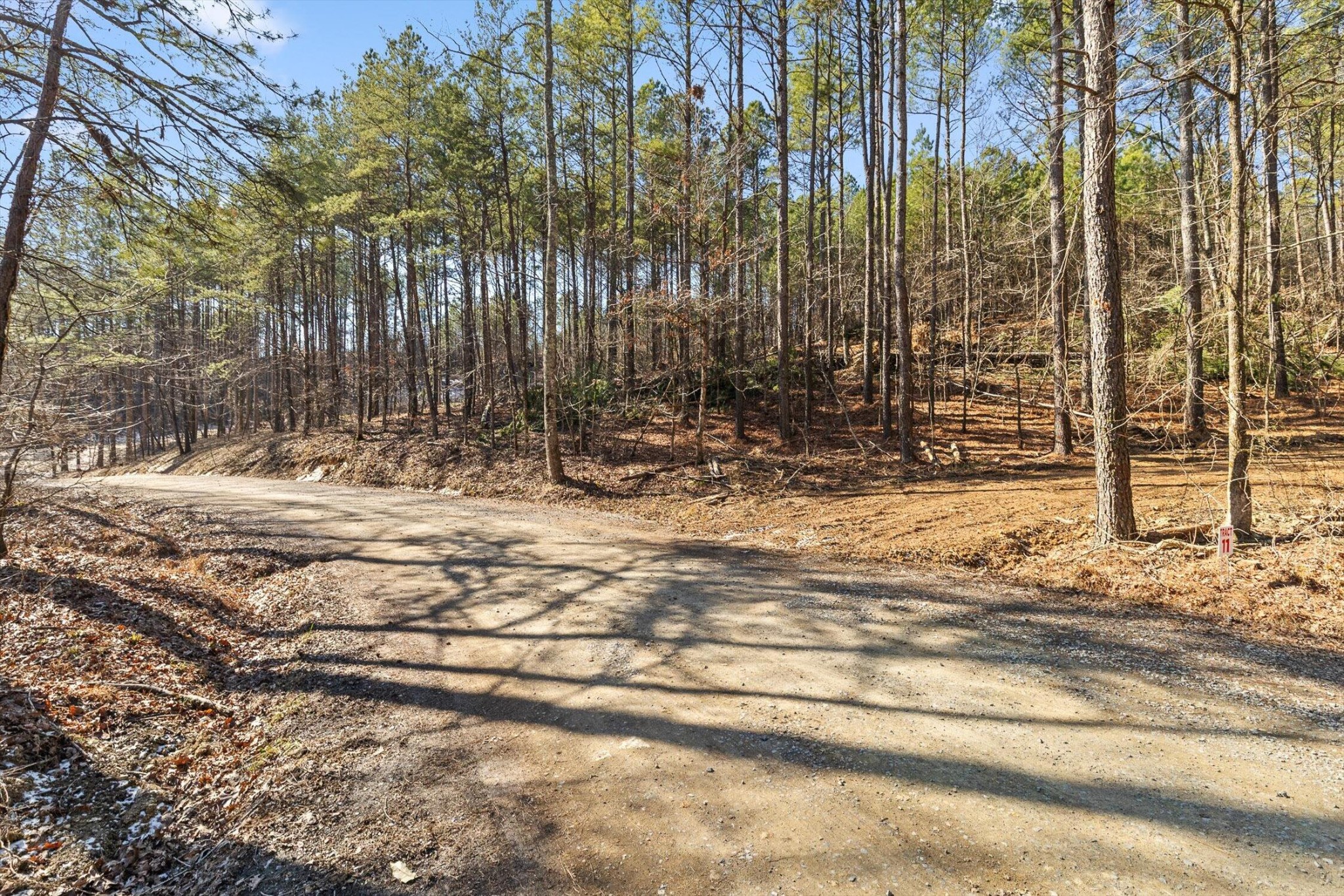11 Conniston Road Chatsworth, GA 30705 - Photo 3 of 23 Gallery Image 3