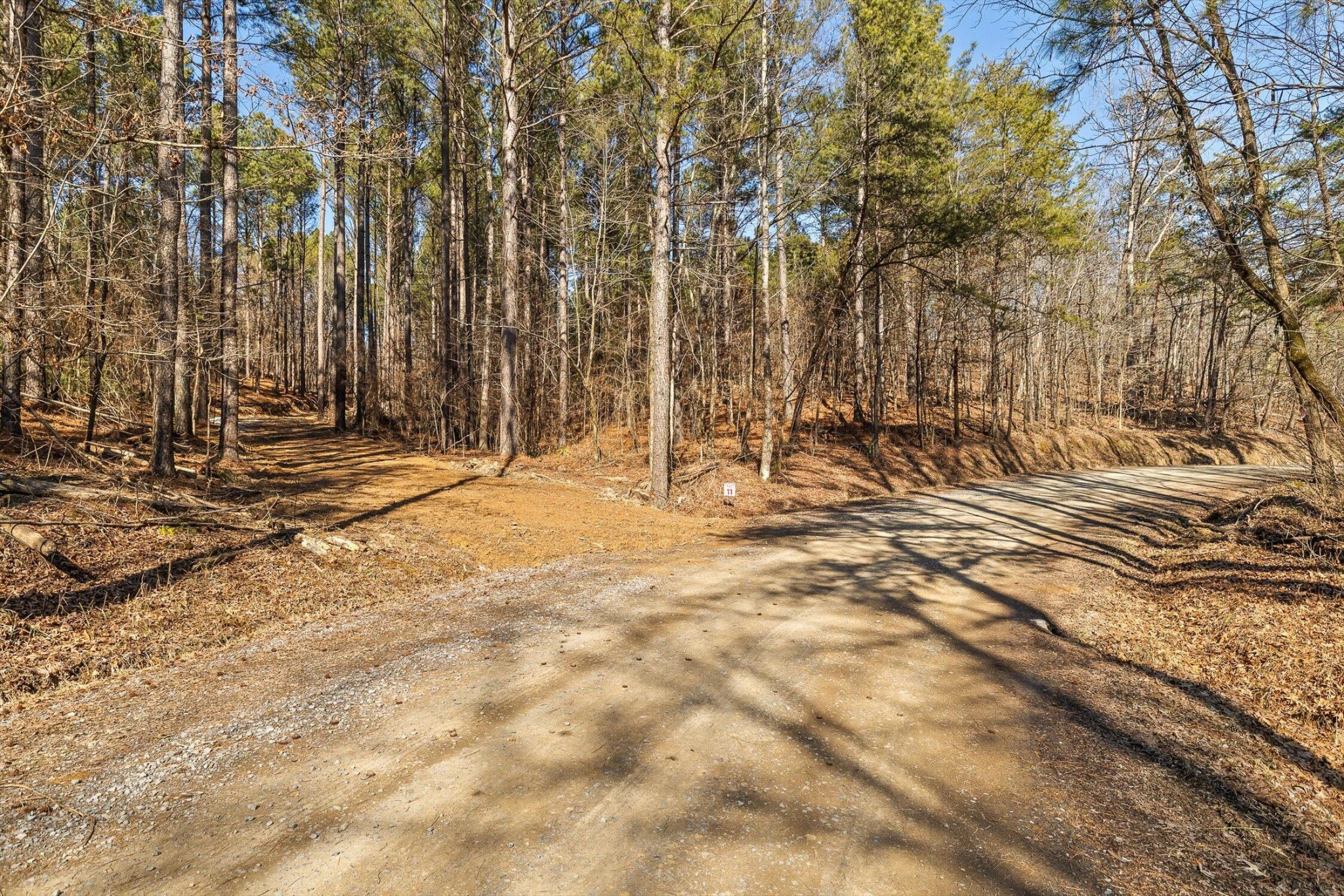 11 Conniston Road Chatsworth, GA 30705 - Photo 4 of 23 Gallery Image 4
