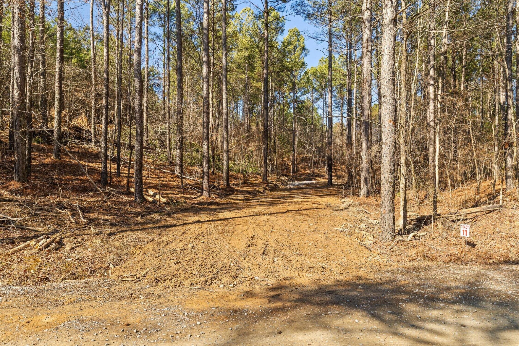 11 Conniston Road Chatsworth, GA 30705 - Photo 5 of 23 Gallery Image 5