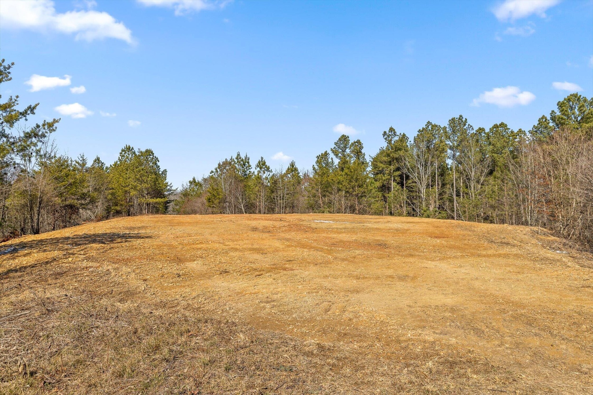 11 Conniston Road Chatsworth, GA 30705 - Photo 6 of 23 Gallery Image 6