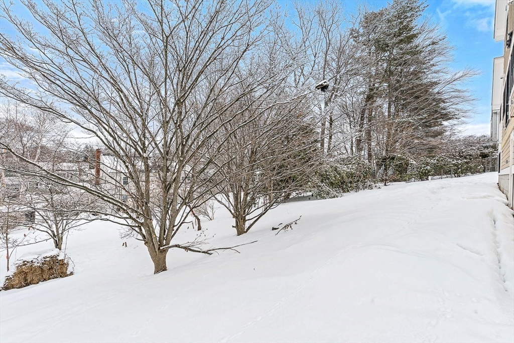 9 Albamont Road Winchester, MA 01890 - Photo 3 of 10