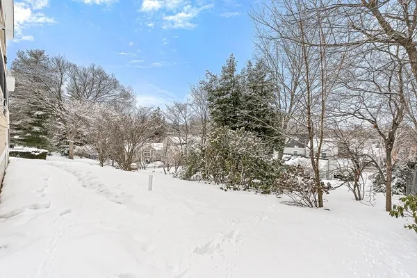a view of a snow covered with trees