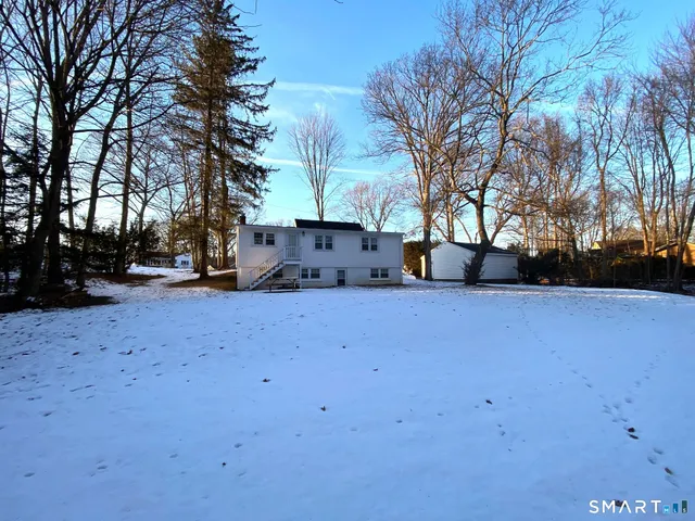 a view of a yard with trees