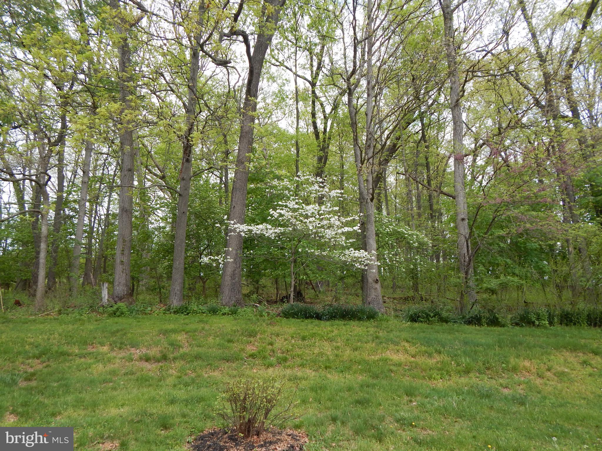 2210 Ridge Road Westminster, MD 21157 - Photo 29 of 36 Gallery Image 29