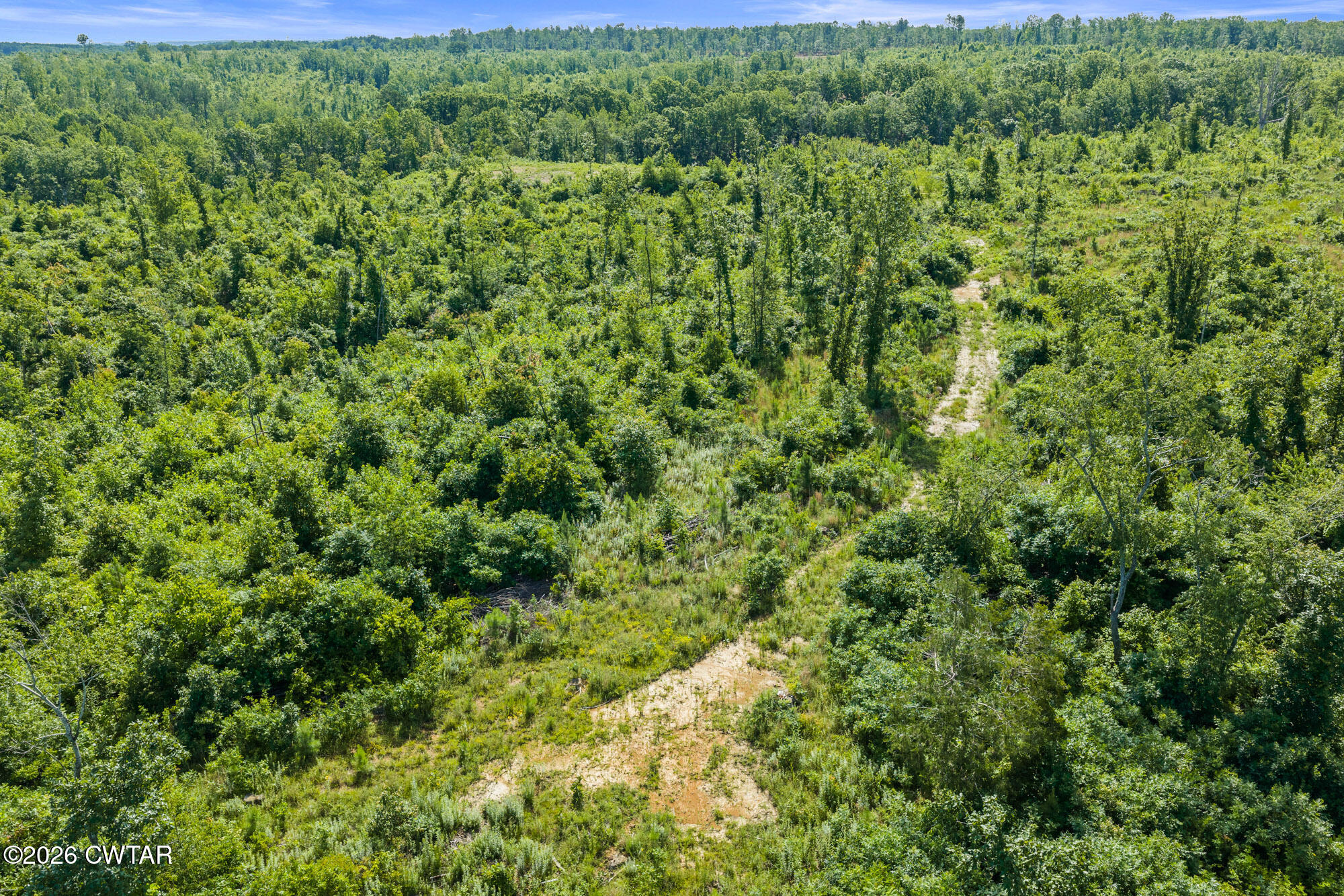 0 Coxburg Road Holladay, TN 38341 - Photo 8 of 18 DJI_20260613093659_0067_D