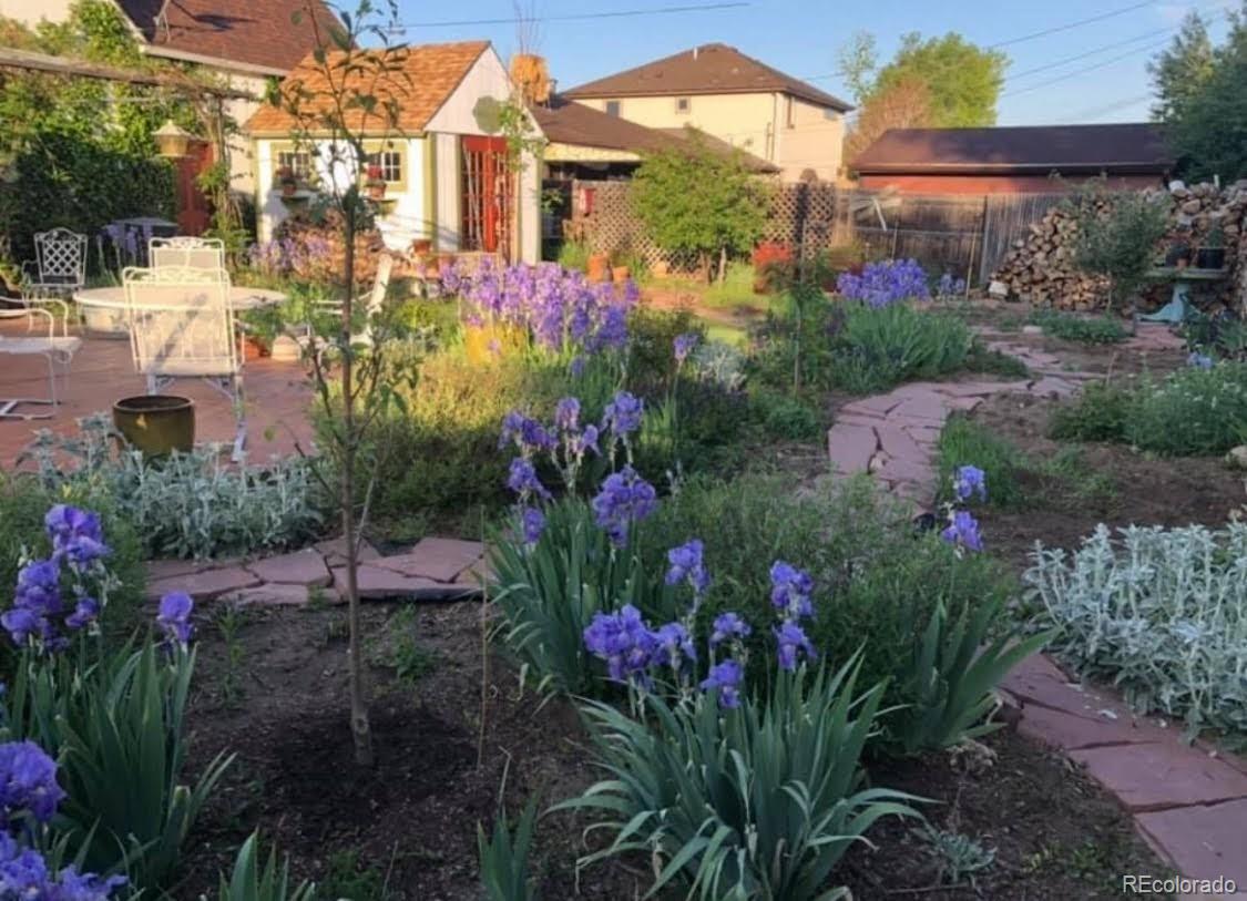 3917 Haddon Road Denver, CO 80205 - Photo 34 of 40 a view of a garden with flowers