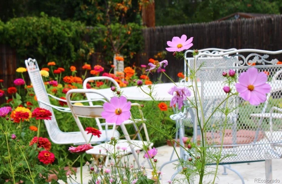 3917 Haddon Road Denver, CO 80205 - Photo 35 of 40 a picture of flowers