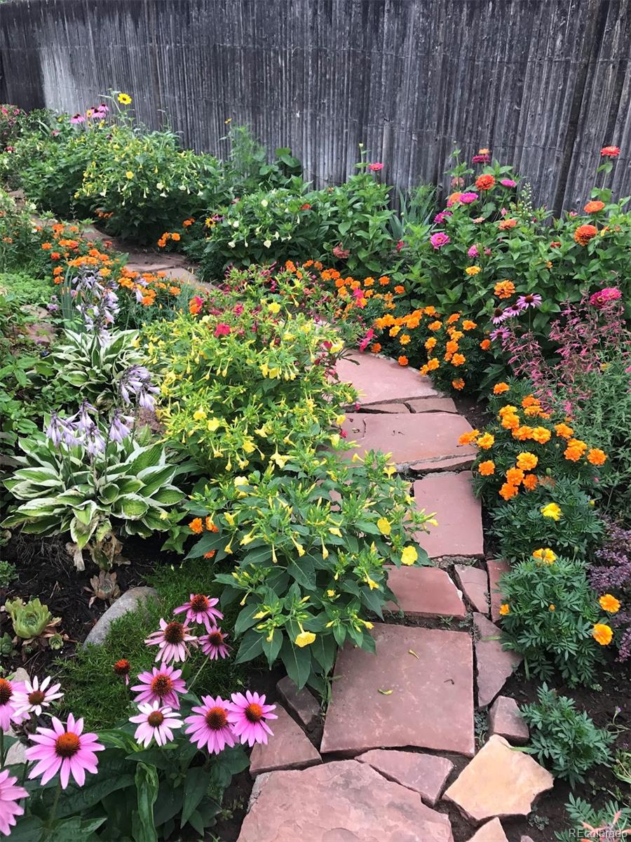 3917 Haddon Road Denver, CO 80205 - Photo 38 of 40 a view of a flower in a garden with flowers