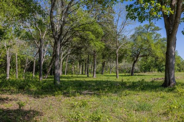 6808 Cedar Hill Road Brenham, TX 77833 - Photo 36 of 40 a view of a backyard with large trees