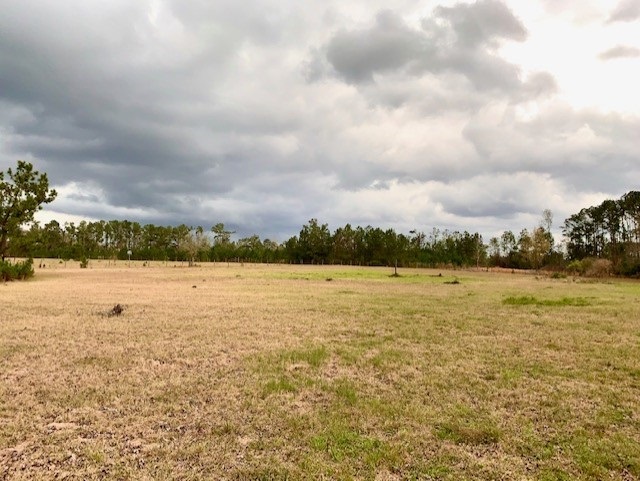 1473 Sycamore Road Quincy, FL 32351 - Photo 22 of 29 Gallery Image 22