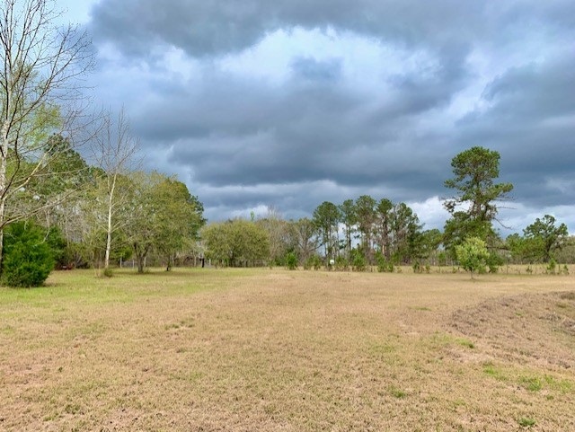 1473 Sycamore Road Quincy, FL 32351 - Photo 23 of 29 Gallery Image 23