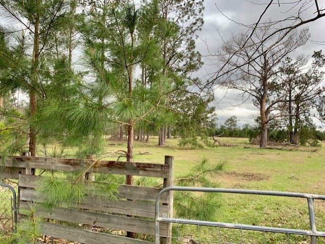 1473 Sycamore Road Quincy, FL 32351 - Photo 4 of 29 Gallery Image 4