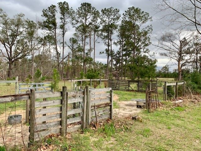 1473 Sycamore Road Quincy, FL 32351 - Photo 5 of 29 Gallery Image 5