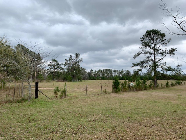 1473 Sycamore Road Quincy, FL 32351 - Photo 6 of 29 Gallery Image 6