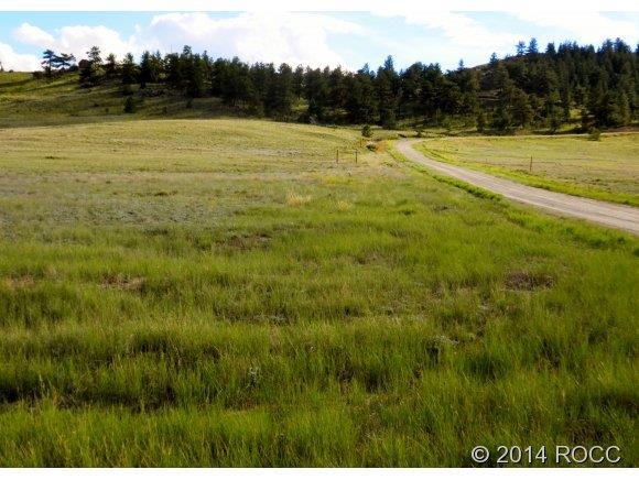1316 Corral Road Hartsel, CO 80449 - Photo 1 of 12 Gallery Image 1