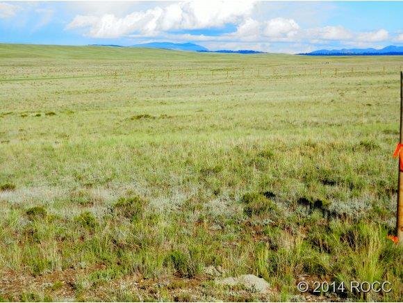 1316 Corral Road Hartsel, CO 80449 - Photo 11 of 12 Gallery Image 11