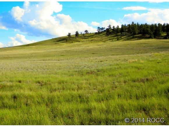 1316 Corral Road Hartsel, CO 80449 - Photo 2 of 12 Gallery Image 2