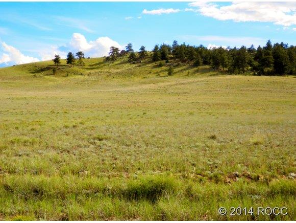 1316 Corral Road Hartsel, CO 80449 - Photo 3 of 12 Gallery Image 3