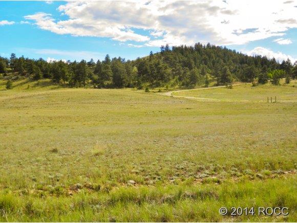1316 Corral Road Hartsel, CO 80449 - Photo 4 of 12 Gallery Image 4