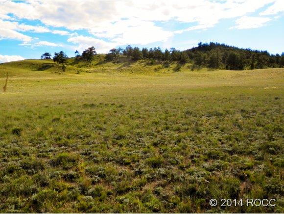 1316 Corral Road Hartsel, CO 80449 - Photo 7 of 12 Gallery Image 7