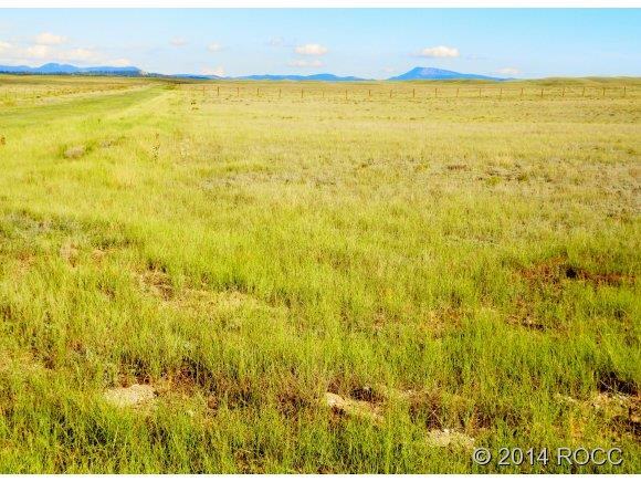 1316 Corral Road Hartsel, CO 80449 - Photo 8 of 12 Gallery Image 8