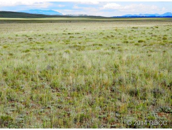 1316 Corral Road Hartsel, CO 80449 - Photo 9 of 12 Gallery Image 9