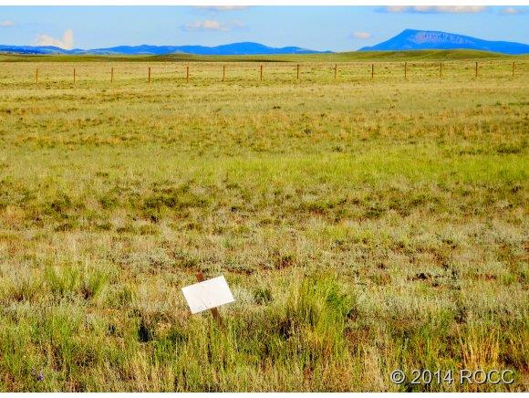 1316 Corral Road Hartsel, CO 80449 - Photo 10 of 12 Gallery Image 10
