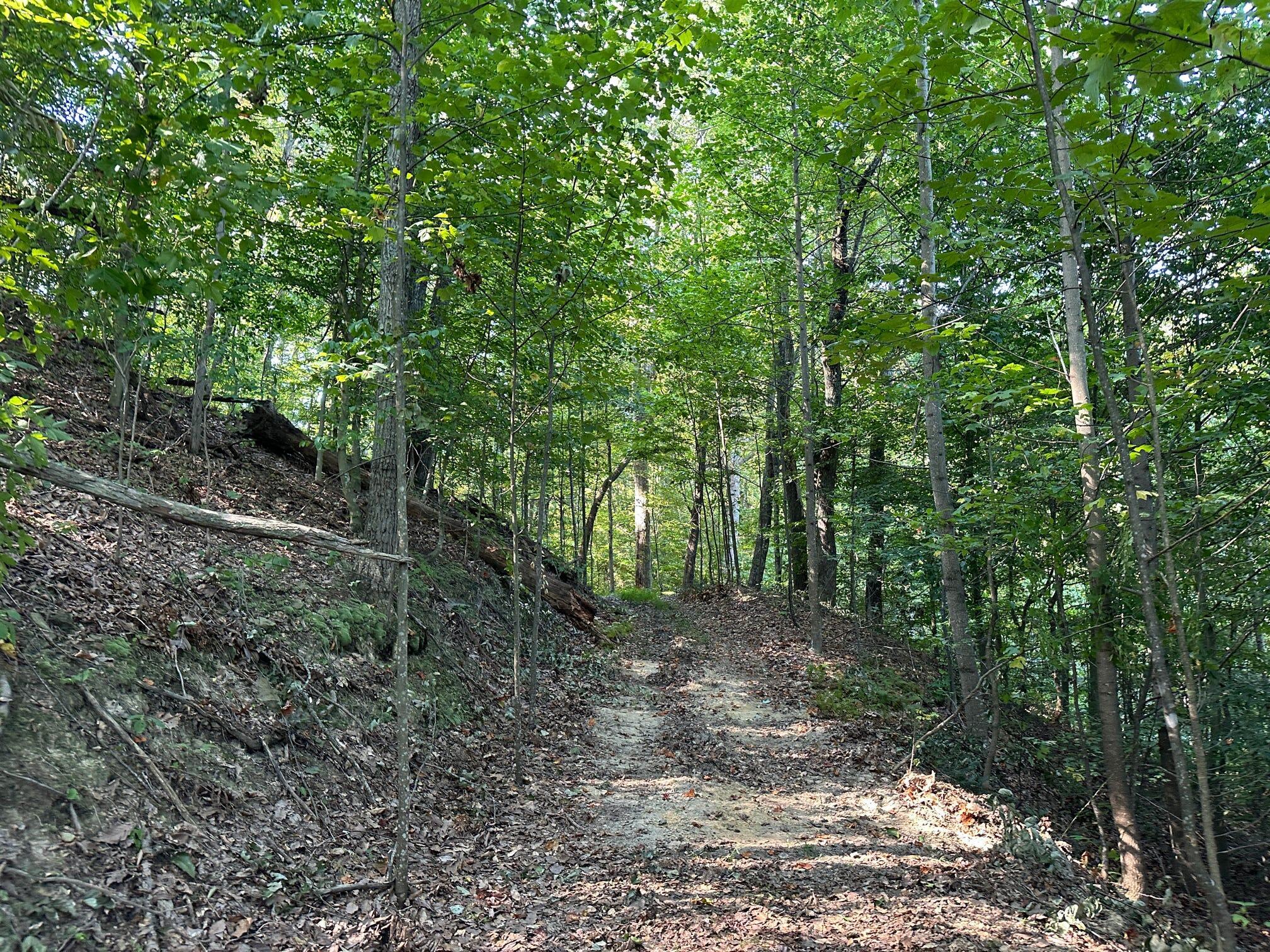 1335 Greenbrier Road Wallingford, KY 41093 - Photo 8 of 50 Gallery Image 8