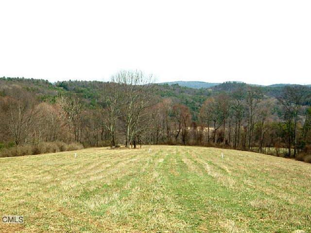 Lot 4 Wells Hill Road Lakeville, CT 06039 - Photo 1 of 1 a view of a with large trees