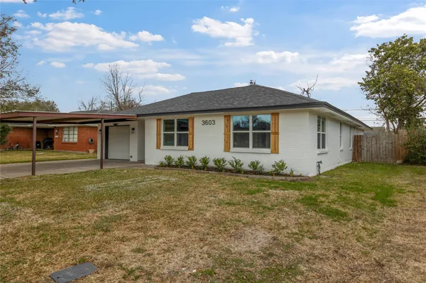 a view of a yard in front of a house with a large tree