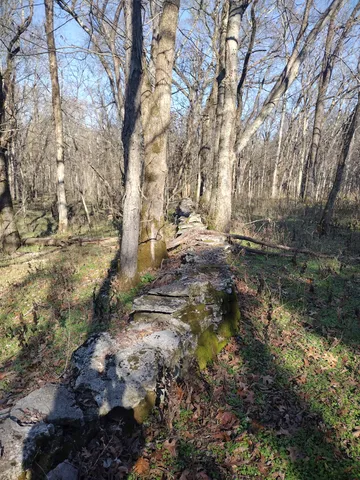 a backyard of a house