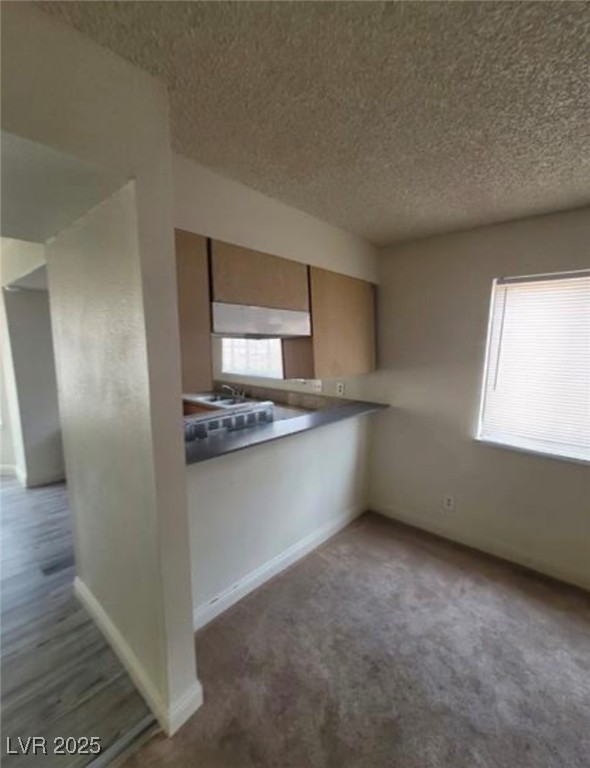 6444 Deadwood Road Las Vegas, NV 89108 - Photo 15 of 45