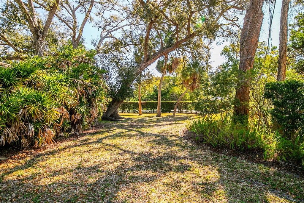 5013 Bay Shore Road Sarasota, FL 34234 - Photo 3 of 22 a view of yard with trees
