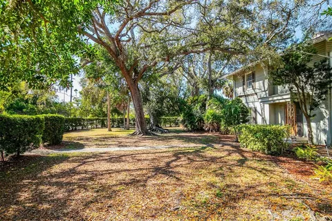 a view of a yard with plants and trees
