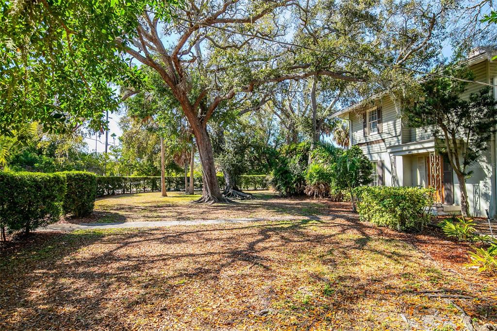 5013 Bay Shore Road Sarasota, FL 34234 - Photo 4 of 22 a view of a yard with plants and trees