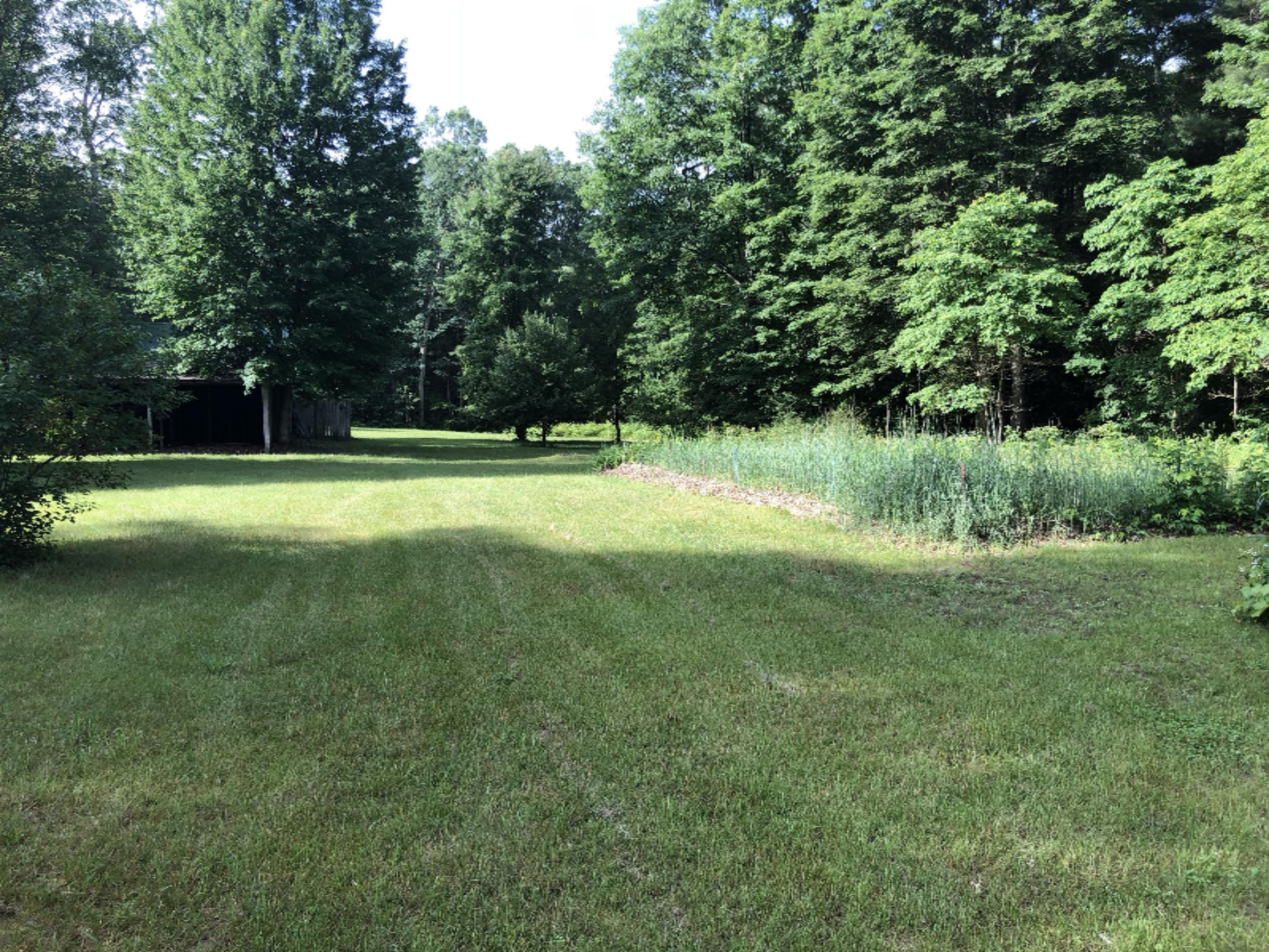 3075 Skeels Road Holton, MI 49425 - Photo 11 of 49 IMG_0492